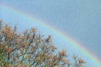 Hagelbogen 26.11.20007