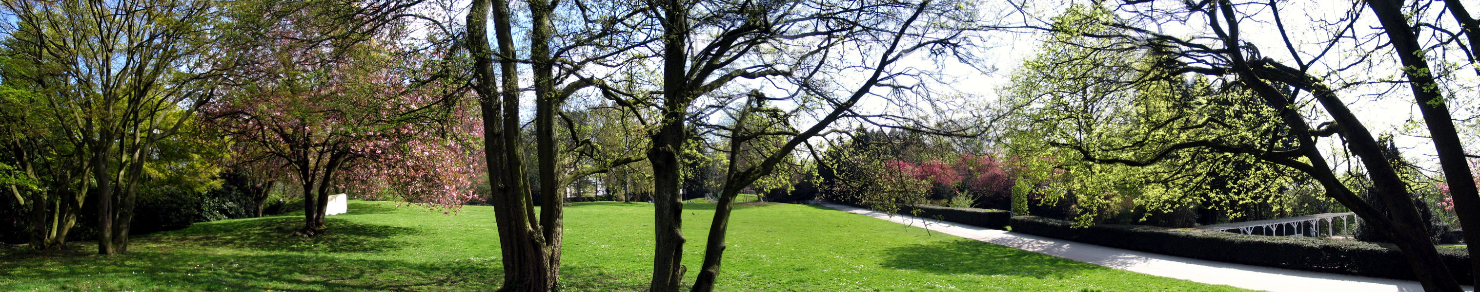 freilichtbuehne080420-34pan.jpg