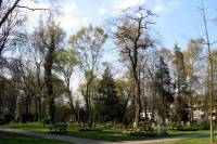 friedhof18-040415.jpg