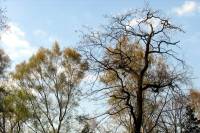 friedhof19-040415.jpg