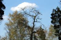 friedhof20-040415.jpg