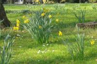 friedhof21-040415.jpg