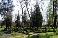 friedhof22-040415.jpg