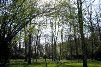 friedhof23-040415.jpg