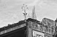 161123kaufhof26bw.jpg