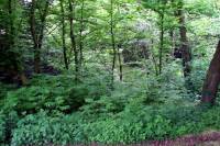 priestershof-090502-18.jpg