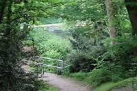 priestershof-090502-19.jpg