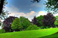 priestershof-090502-32hdr.jpg