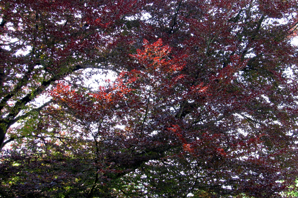priestershof-090502-04.jpg