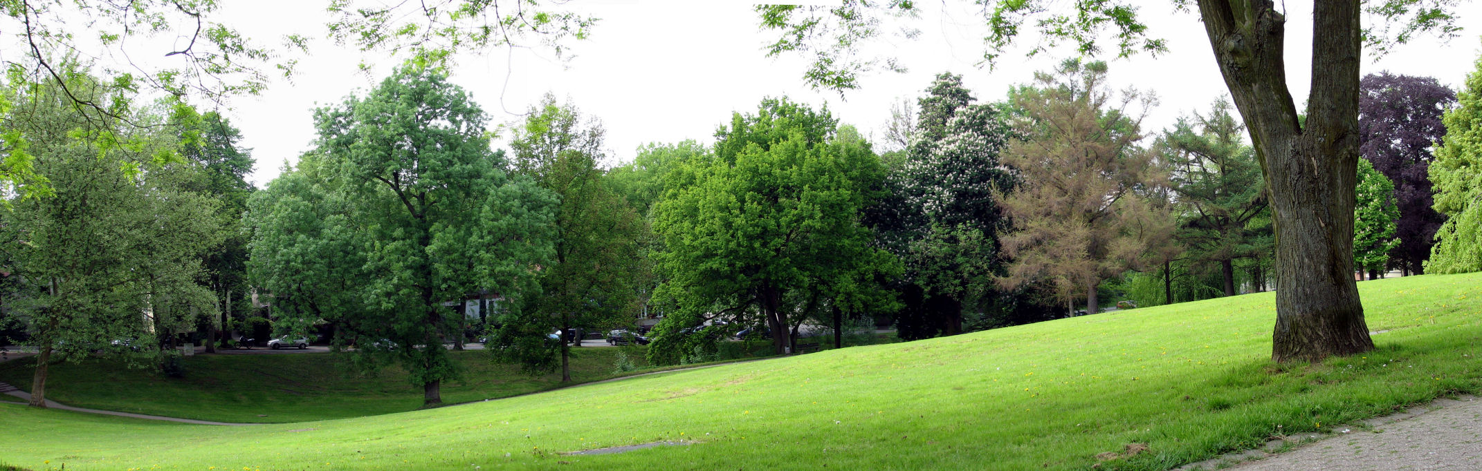 priestershof-090502-11pan.jpg