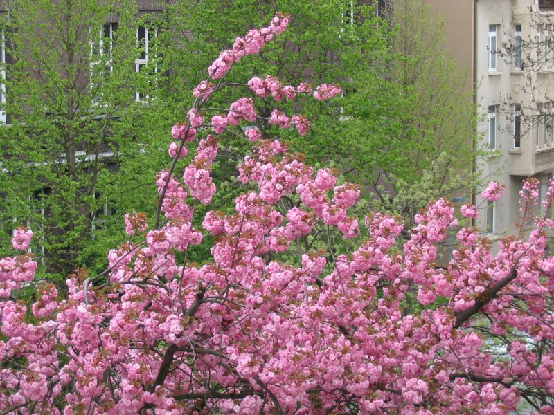 kb064-040417.jpg