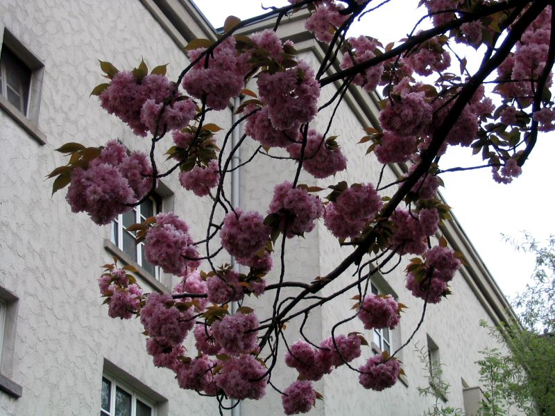 kb081-040422.jpg