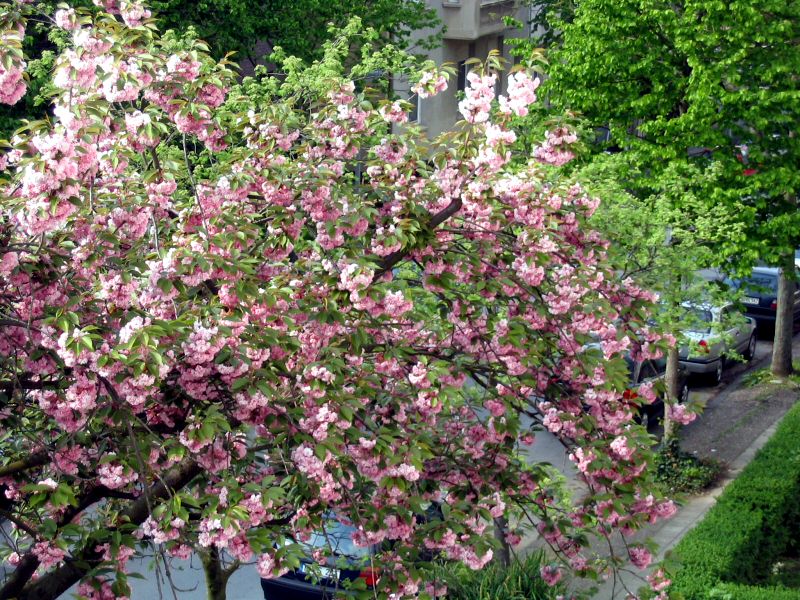 kb100-040426.jpg