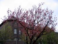 18.4.2008