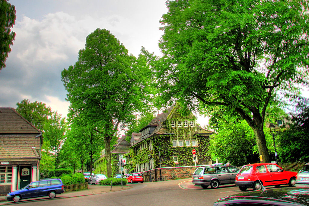 maggi090429-09hdr.jpg