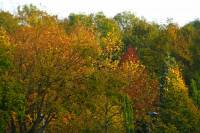 autumn141028.jpg