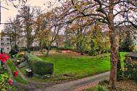 autumn141115-05.jpg