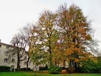 autumn141117-01.jpg