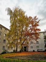 autumn141117-02.jpg