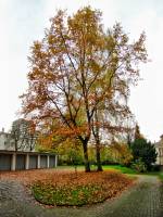 autumn141117-05.jpg