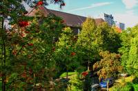 autumn151002-02.jpg