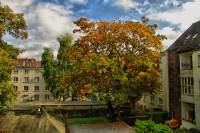 autumn151006-01.jpg
