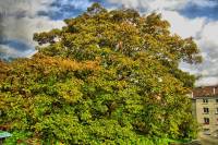 autumn151006-02.jpg