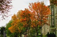 autumn151007-04.jpg