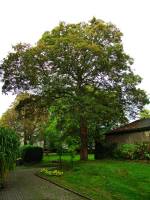 autumn151007-07.jpg