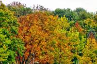 autumn151023-13.jpg