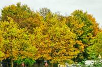 autumn151023-14.jpg