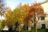 autumn151026-02.jpg
