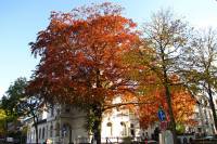 autumn151027-04.jpg
