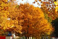 autumn151027-18.jpg