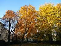autumn151027-21.jpg