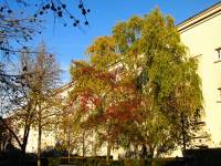 autumn151102-01.jpg