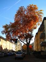 autumn151102-02.jpg