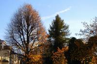 autumn151102-04.jpg