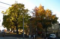 autumn151102-11.jpg