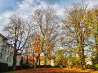 autumn151103-05.jpg