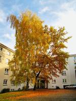 autumn151103-06.jpg