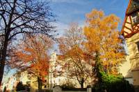 autumn151103-11.jpg