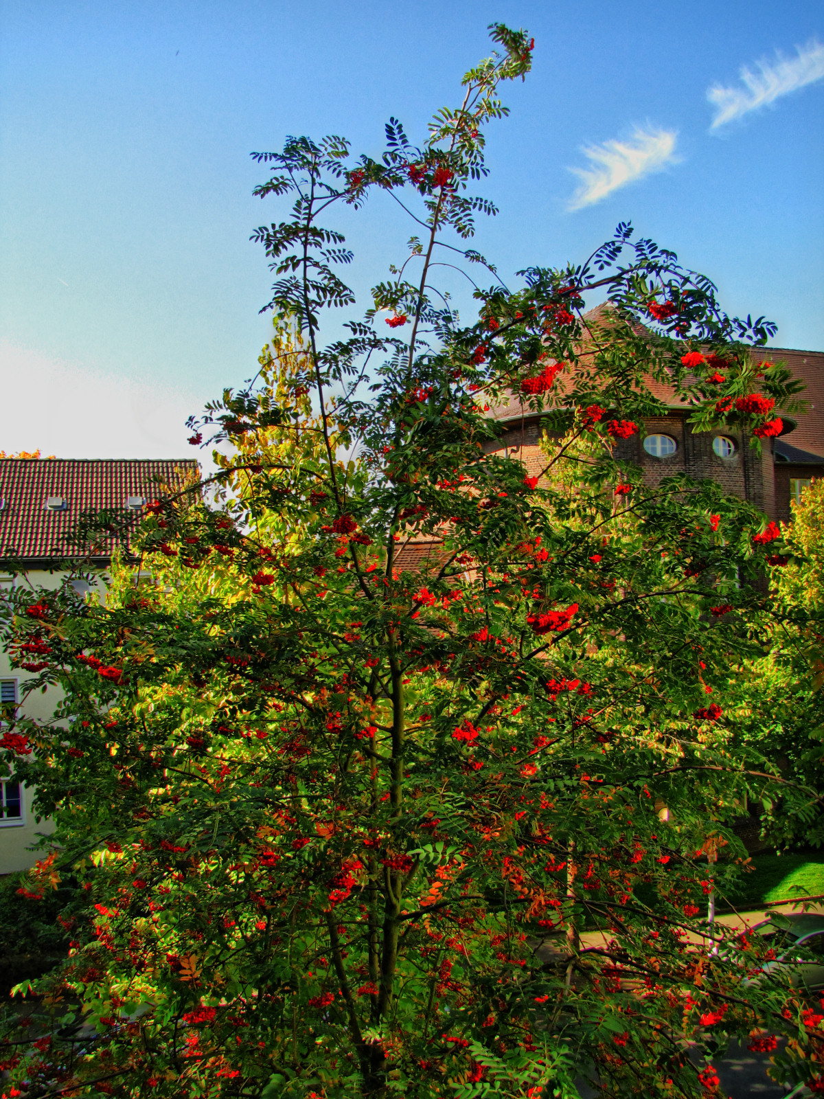 autumn151002-01.jpg