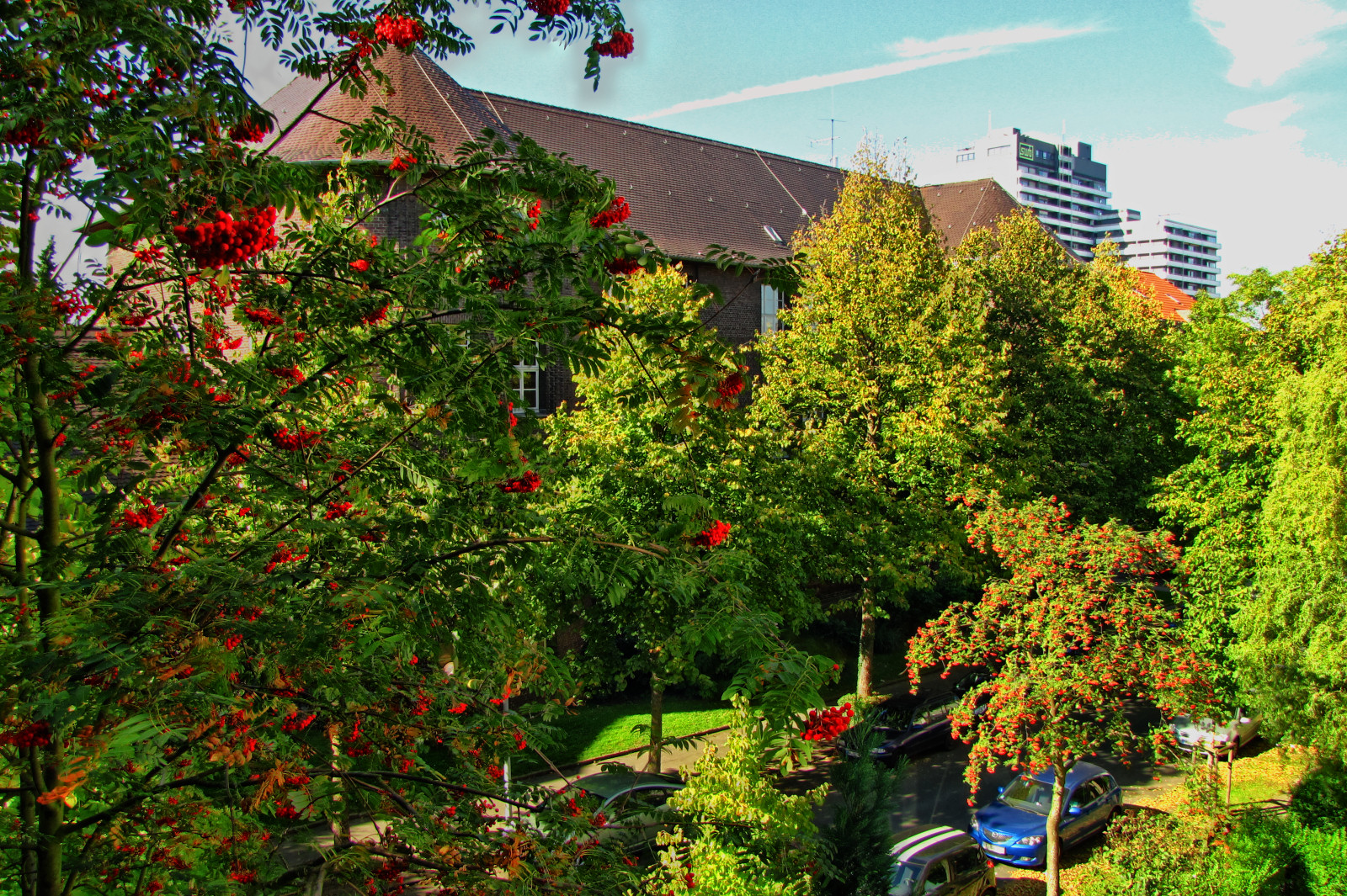autumn151002-02.jpg