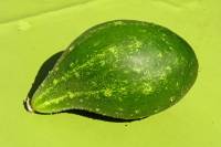 balconyveggies140820-03.jpg