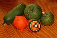 balconyveggies141024-01.jpg