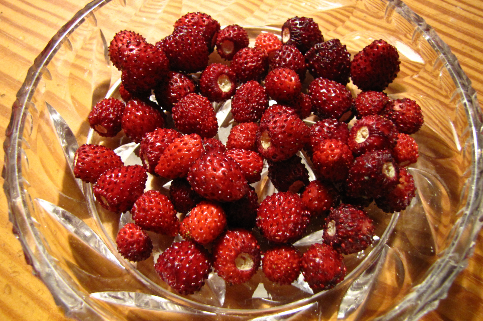 balconyveggies2015-150613-04.jpg