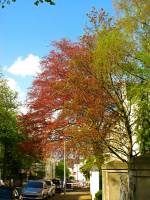 140408redgreenblue.jpg