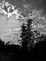140602rowansky.jpg