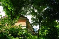 140605treehouses.jpg